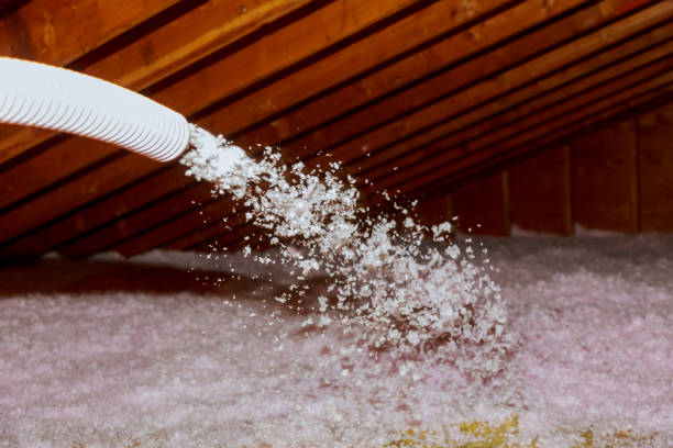 Best Energy Efficiency Insulation in Mount Hore, WI